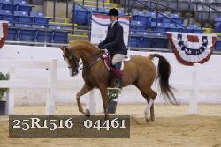 25R1516_04461 thumbnail