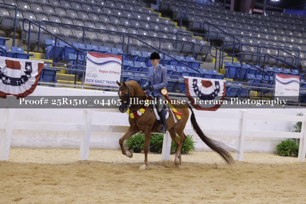 Proof Number 25R1516_04465