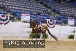 25R1516_04465 thumbnail