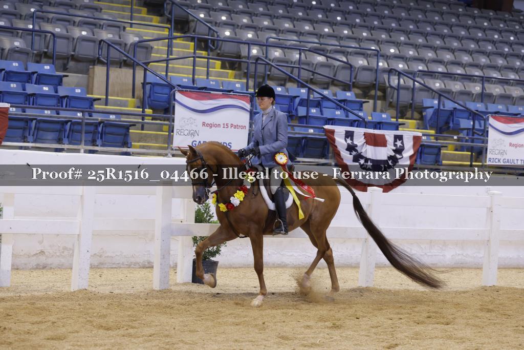Proof Number 25R1516_04466