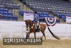 25R1516_04466 thumbnail