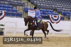 25R1516_04469 thumbnail