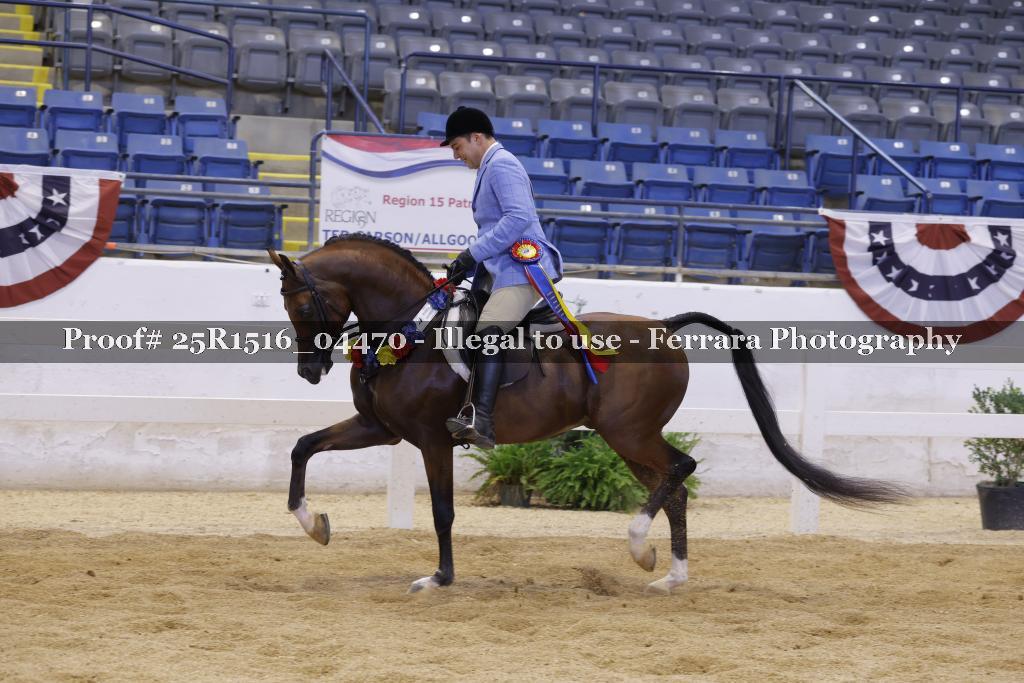 Proof Number 25R1516_04470