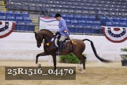 25R1516_04470 thumbnail