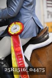 25R1516_04475 thumbnail