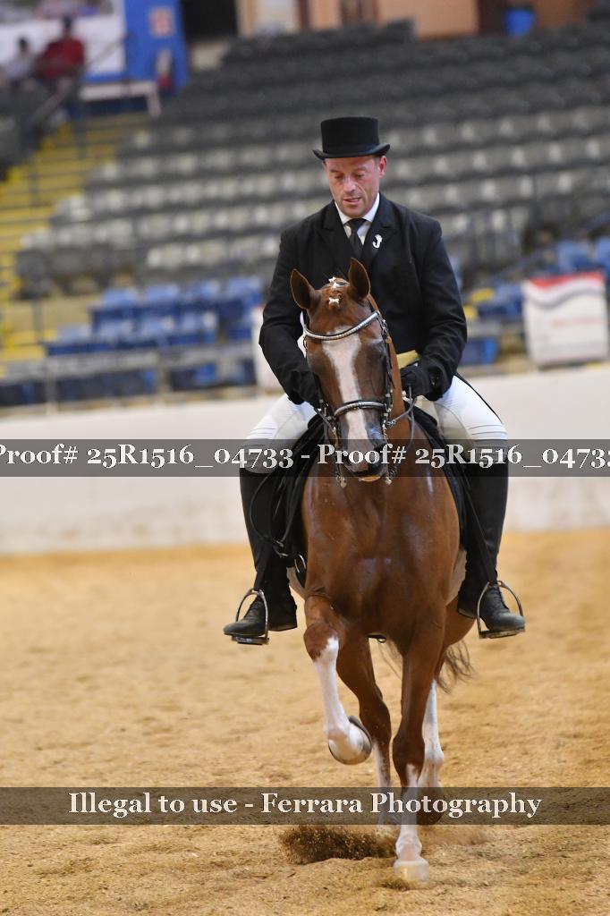 Proof Number 25R1516_04733