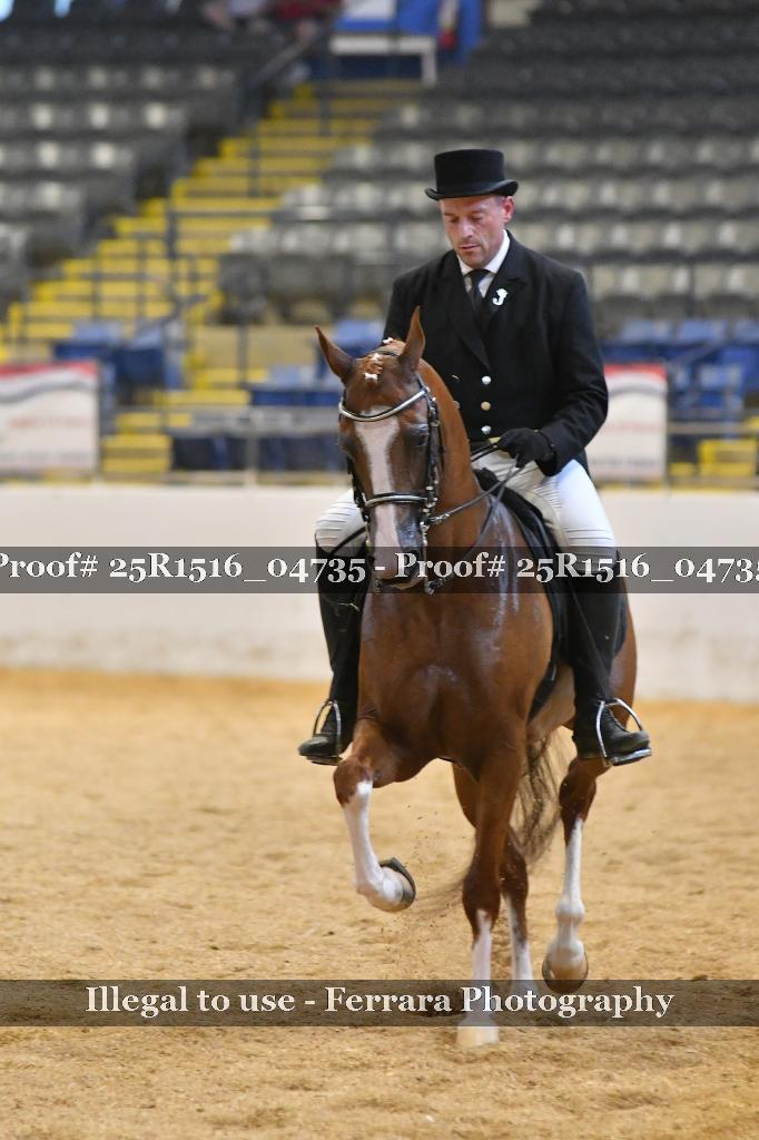 Proof Number 25R1516_04735