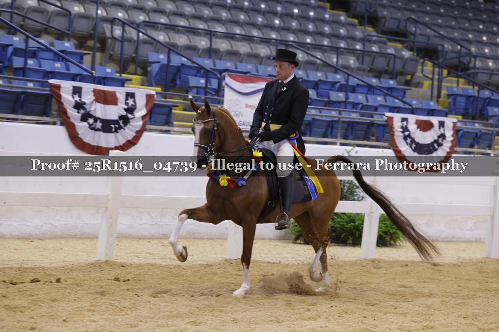 Proof Number 25R1516_04739