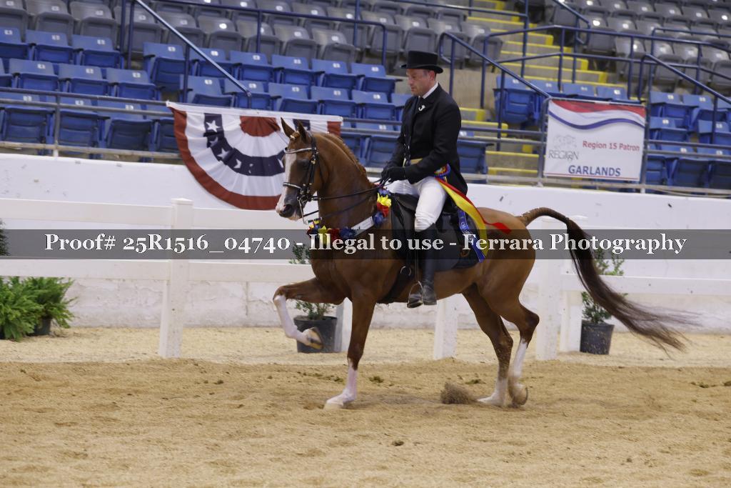 Proof Number 25R1516_04740