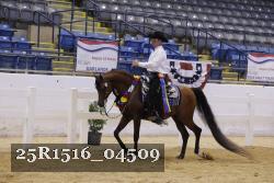25R1516_04509 thumbnail