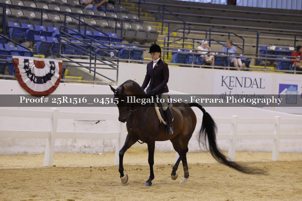 Proof Number 25R1516_04515