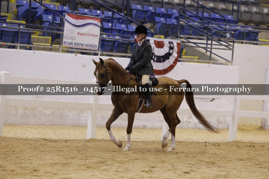 Proof Number 25R1516_04517