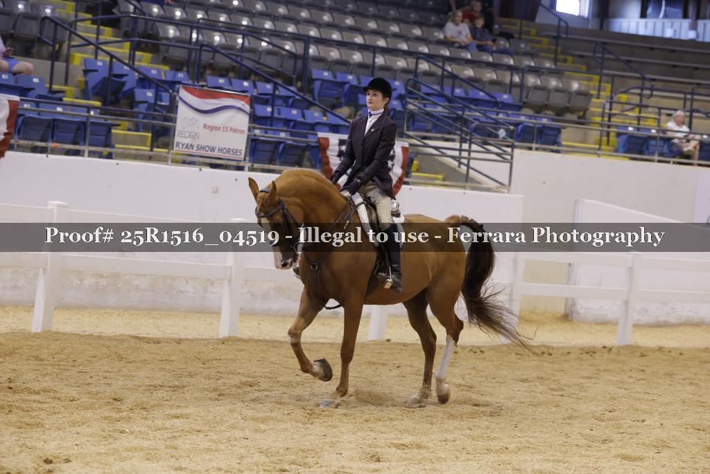 Proof Number 25R1516_04519