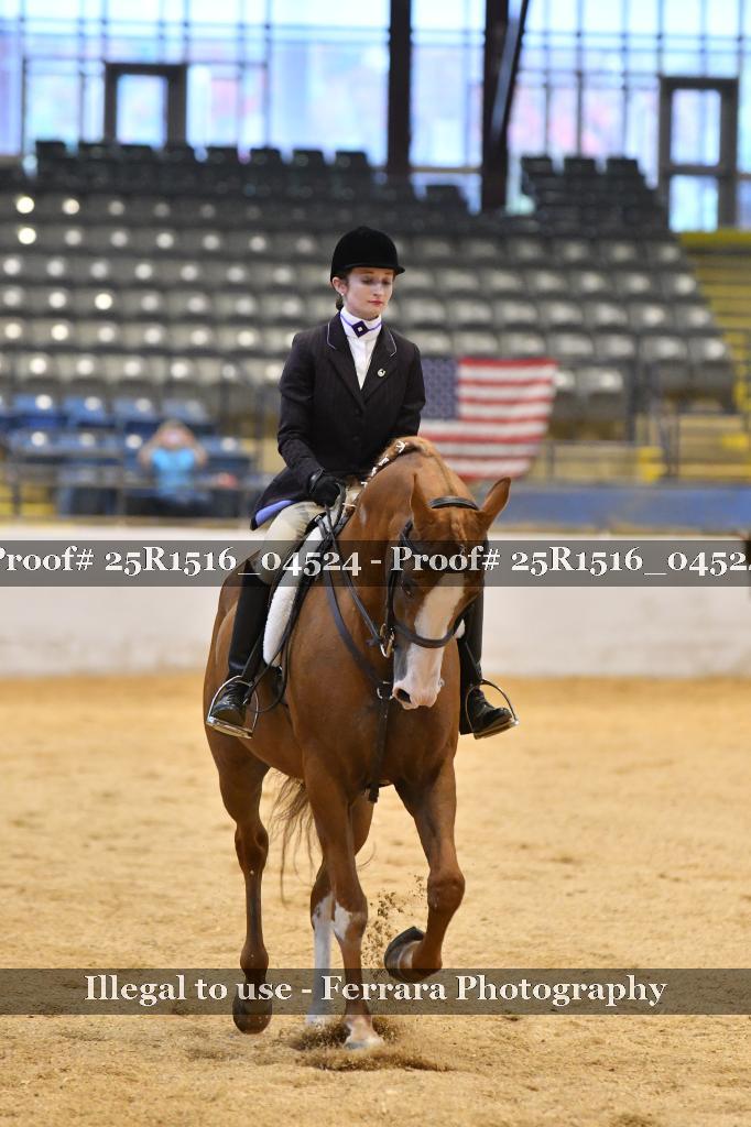 Proof Number 25R1516_04524