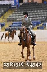 25R1516_04540 thumbnail