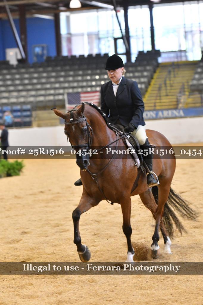 Proof Number 25R1516_04542