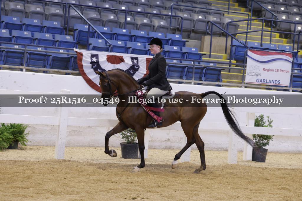 Proof Number 25R1516_04549