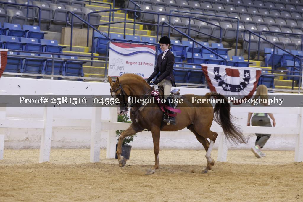 Proof Number 25R1516_04552
