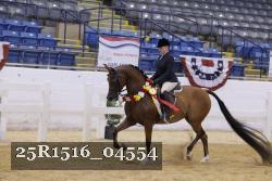 25R1516_04554 thumbnail