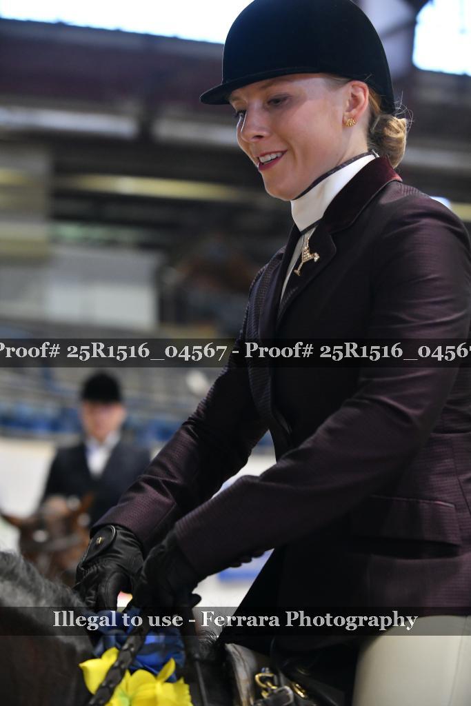Proof Number 25R1516_04567