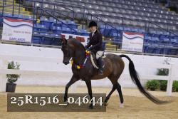 25R1516_04644 thumbnail