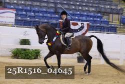 25R1516_04645 thumbnail