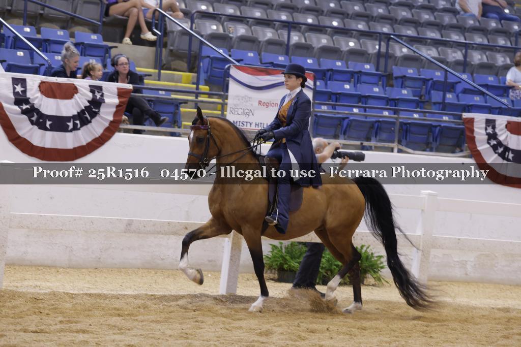 Proof Number 25R1516_04570