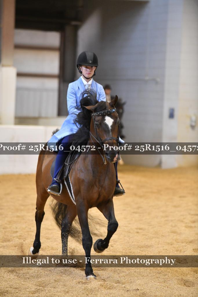Proof Number 25R1516_04572