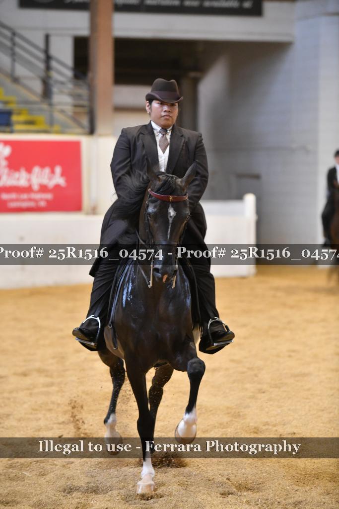 Proof Number 25R1516_04574