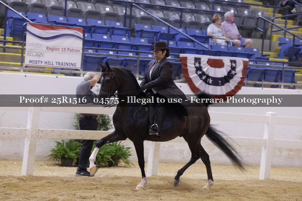 Proof Number 25R1516_04575