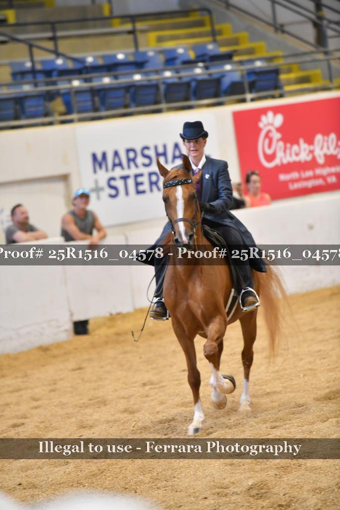 Proof Number 25R1516_04578