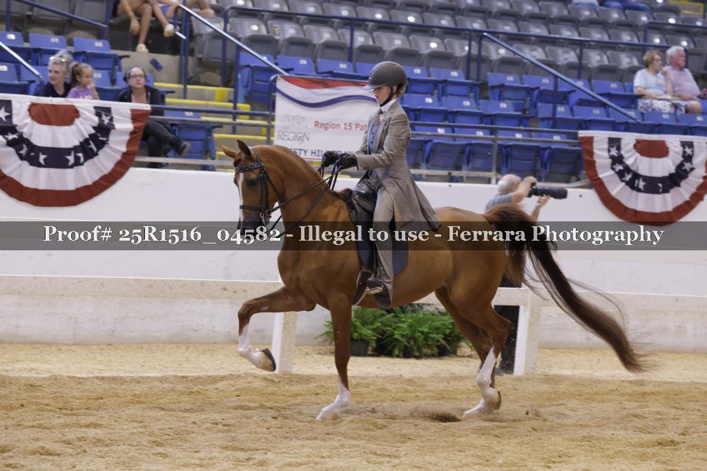 Proof Number 25R1516_04582