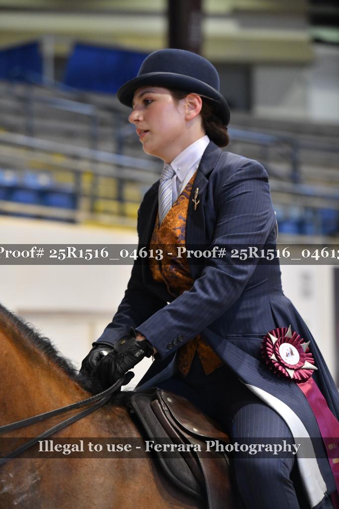 Proof Number 25R1516_04613