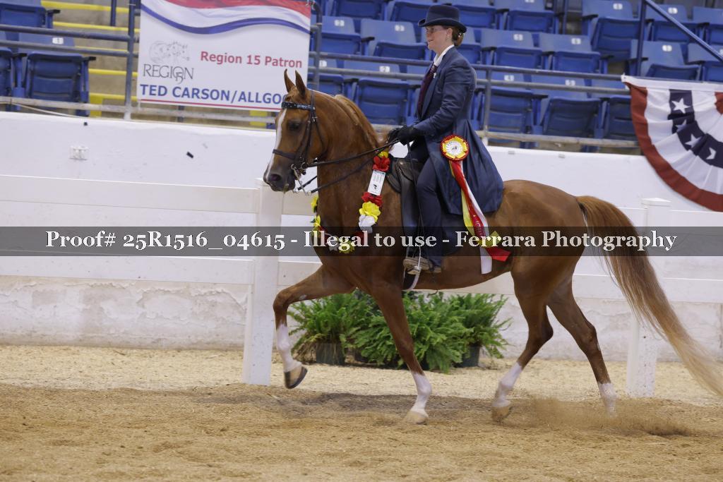 Proof Number 25R1516_04615