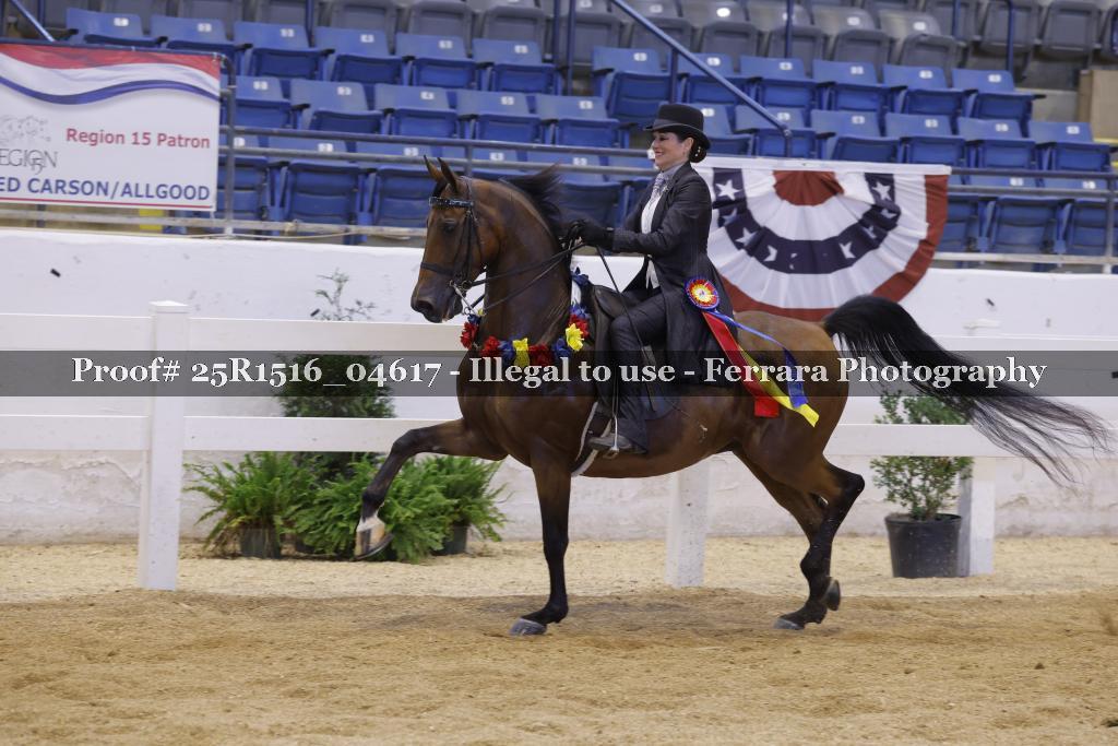 Proof Number 25R1516_04617