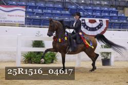 25R1516_04617 thumbnail
