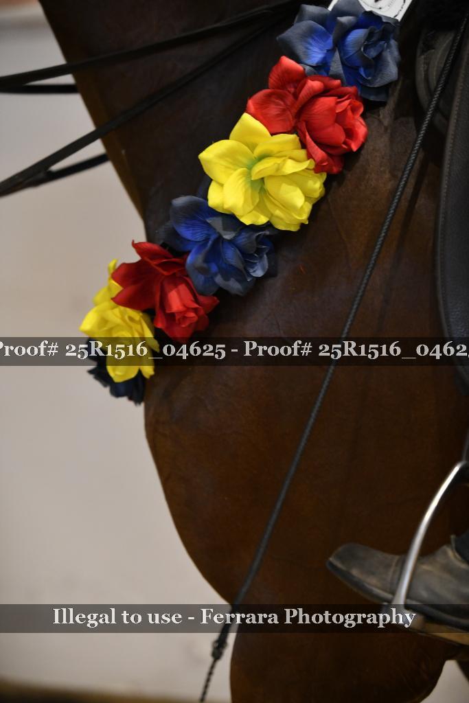 Proof Number 25R1516_04625