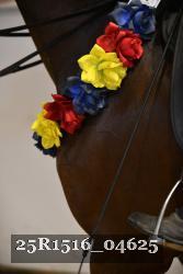 25R1516_04625 thumbnail