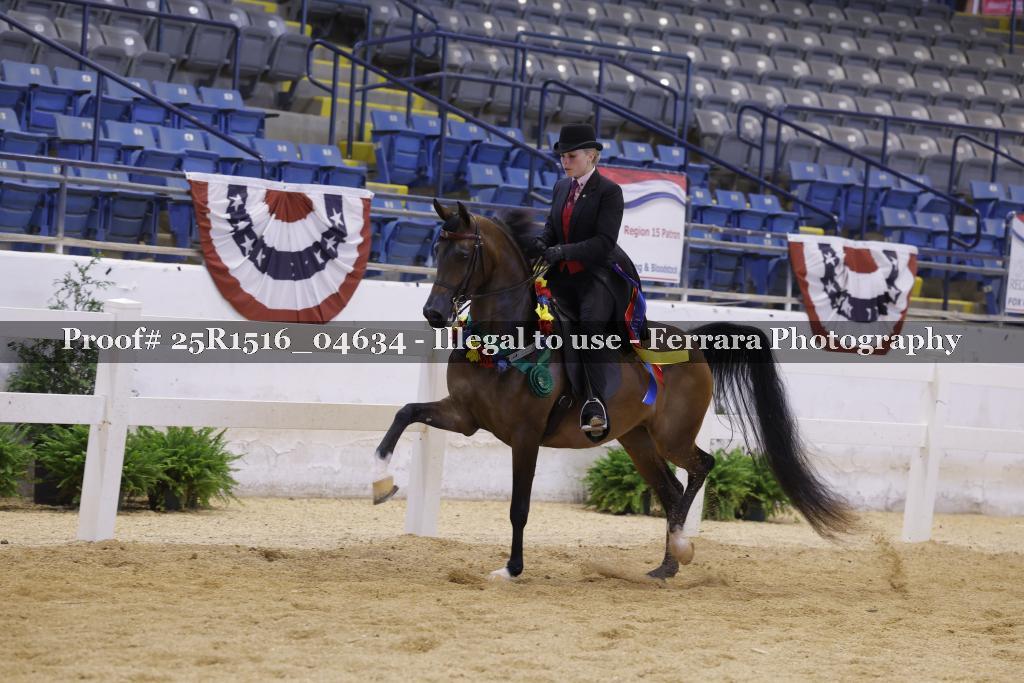 Proof Number 25R1516_04634