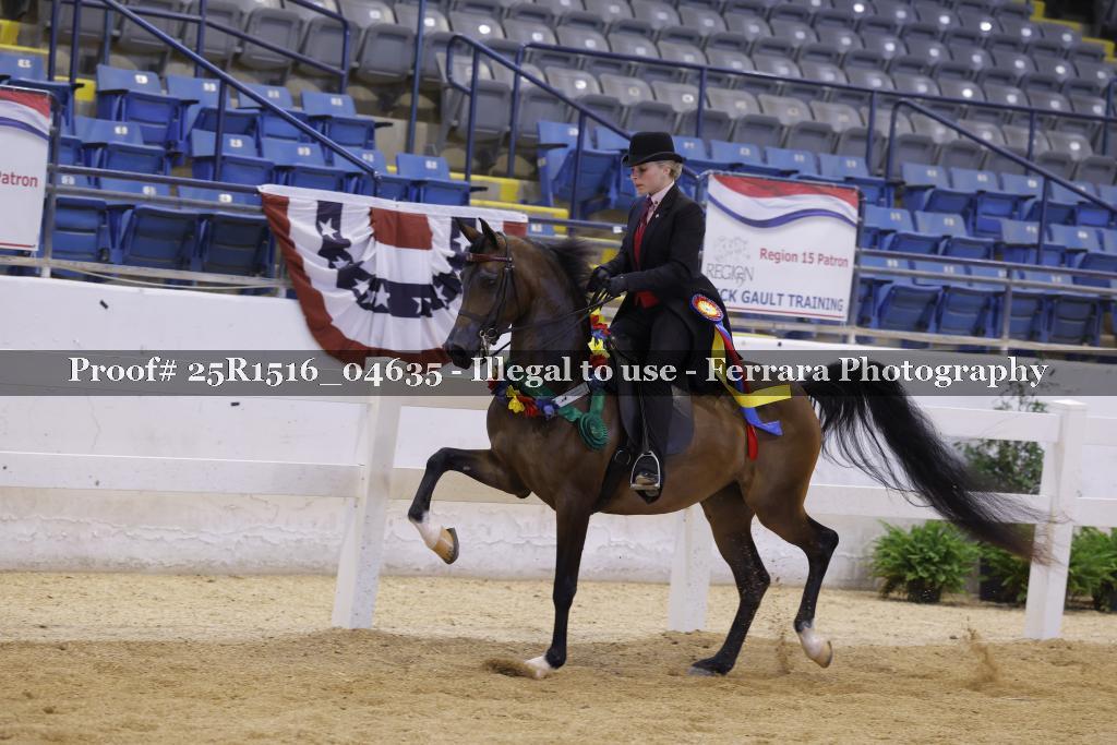 Proof Number 25R1516_04635