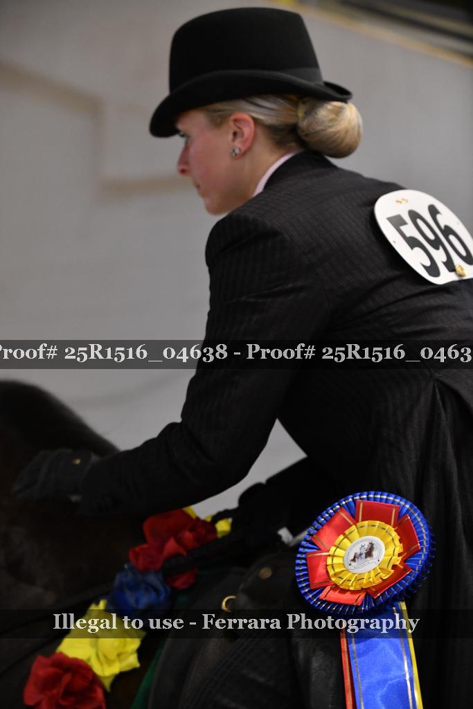 Proof Number 25R1516_04638