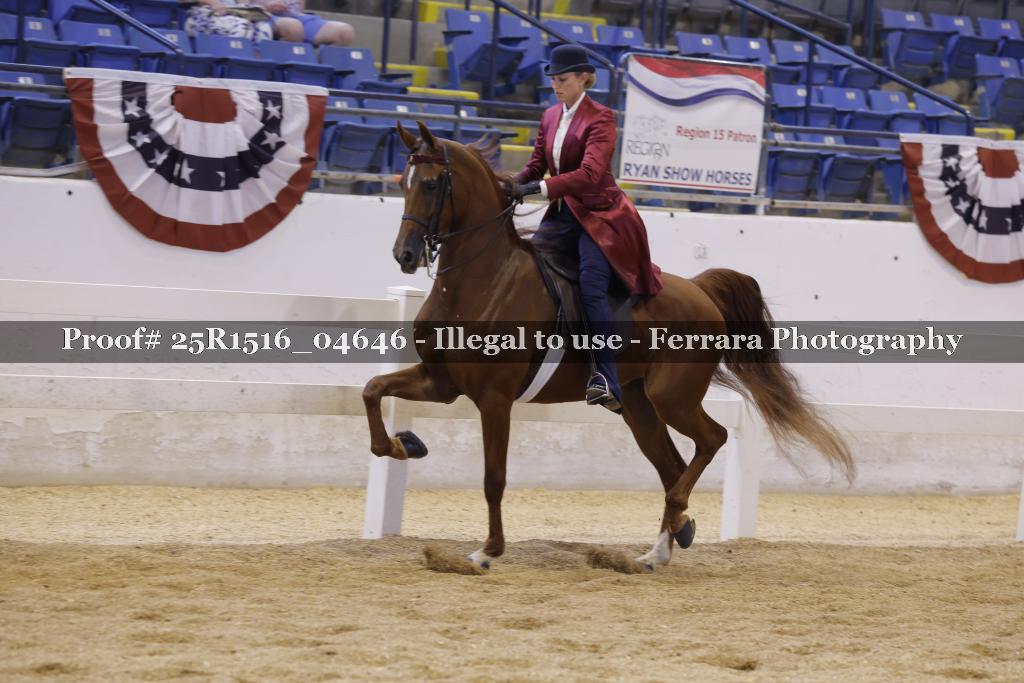 Proof Number 25R1516_04646