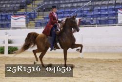 25R1516_04650 thumbnail