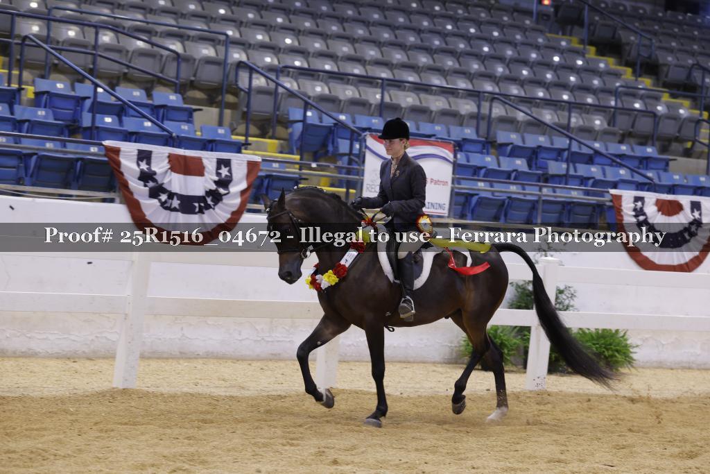 Proof Number 25R1516_04672