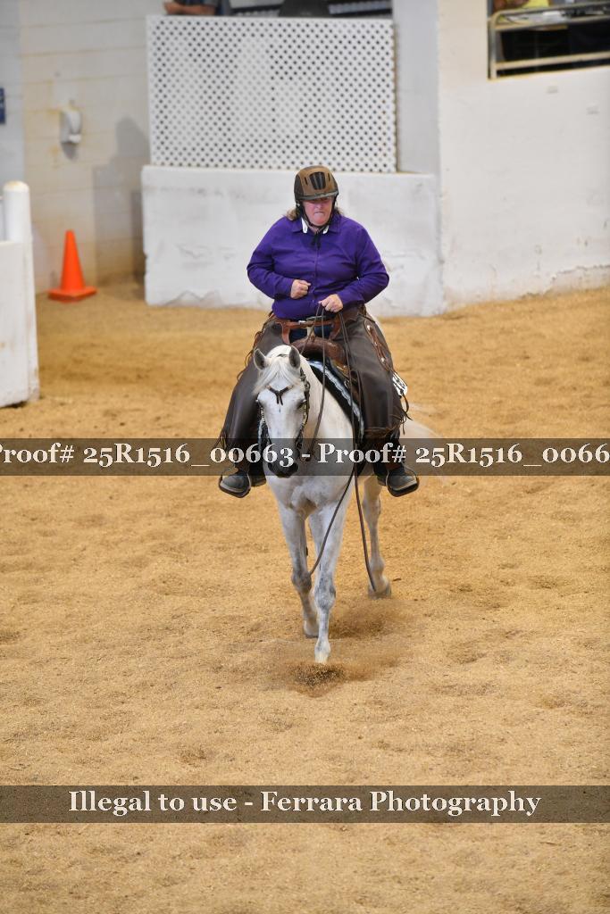 Proof Number 25R1516_00663
