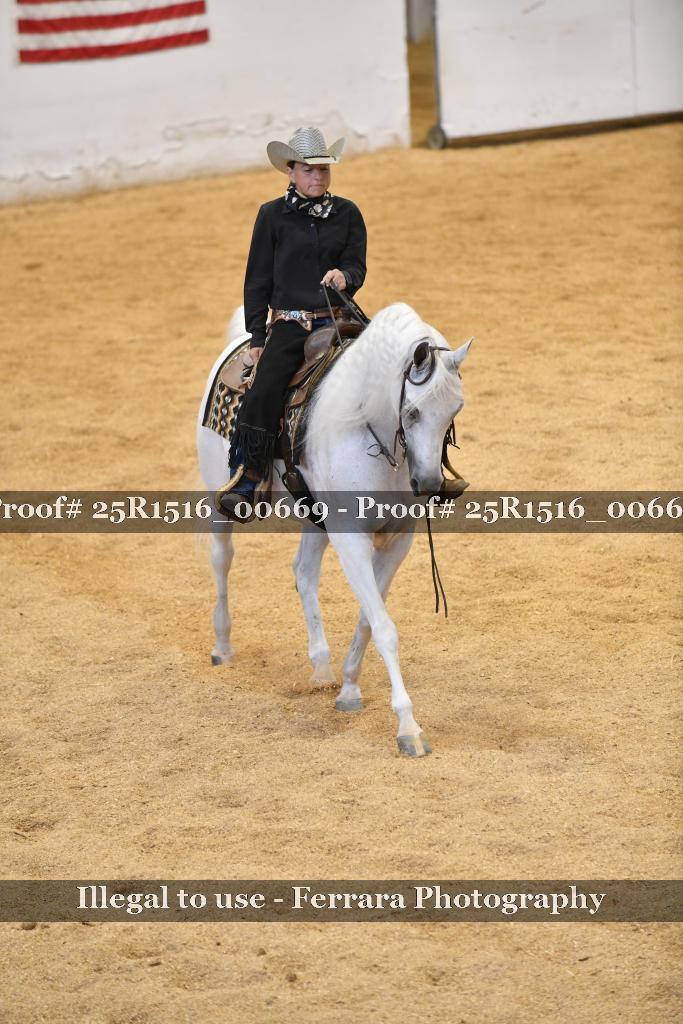 Proof Number 25R1516_00669