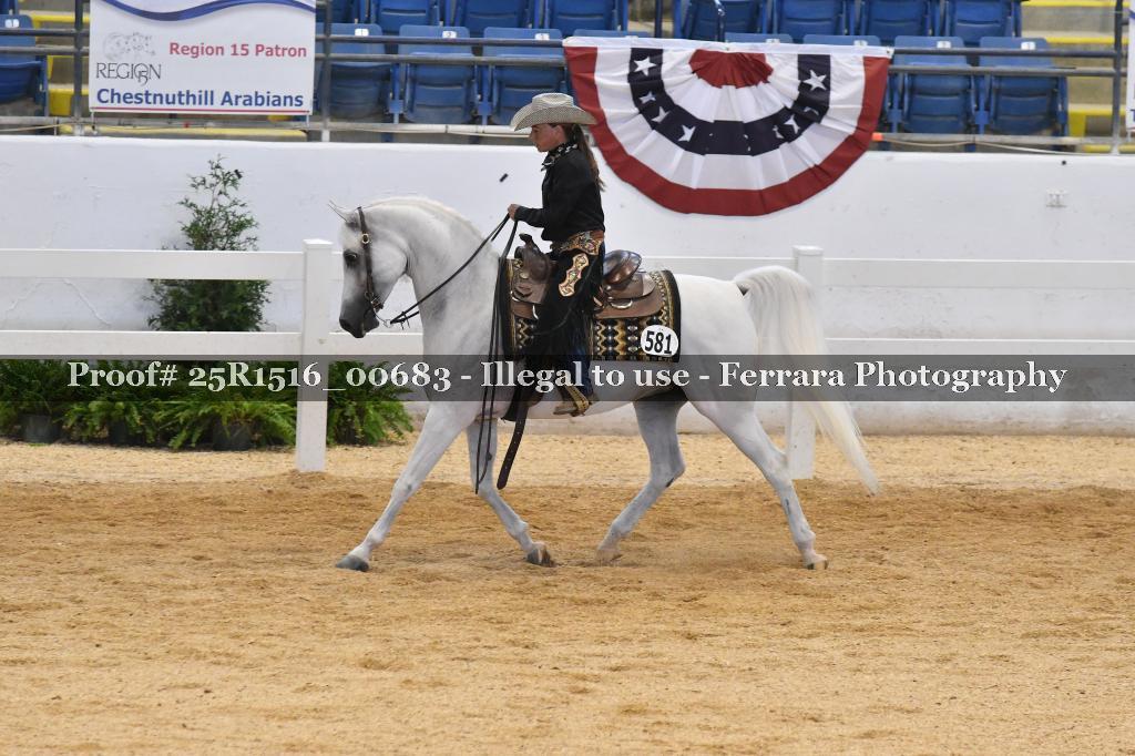 Proof Number 25R1516_00683