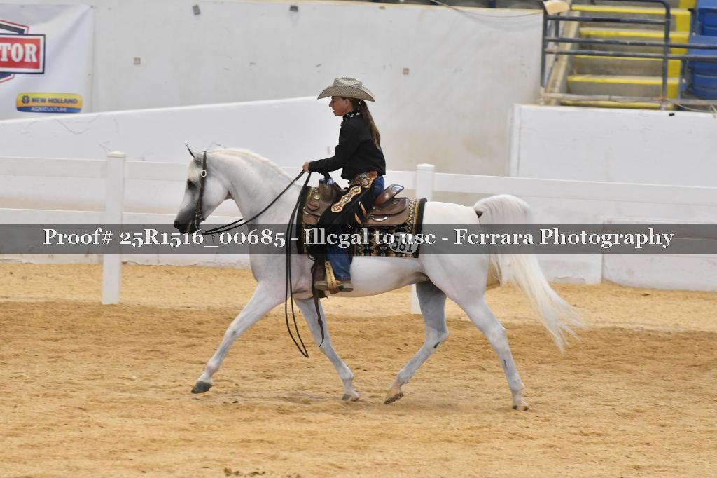 Proof Number 25R1516_00685