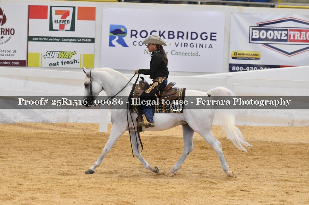 Proof Number 25R1516_00686