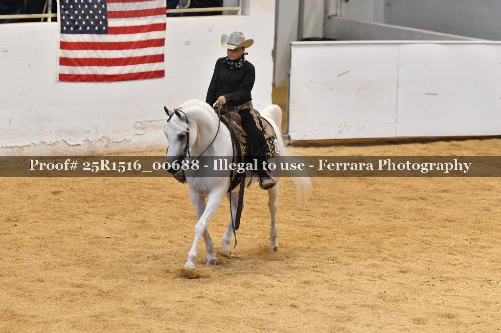 Proof Number 25R1516_00688